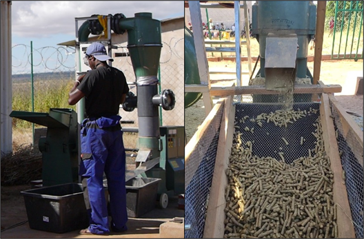 Pellet